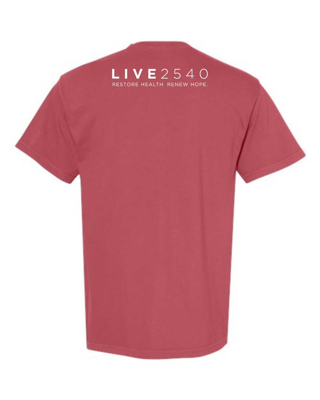 2026 Adult Comfort Colors Short Sleeve Crimson Nativity Tee PRE ORDER