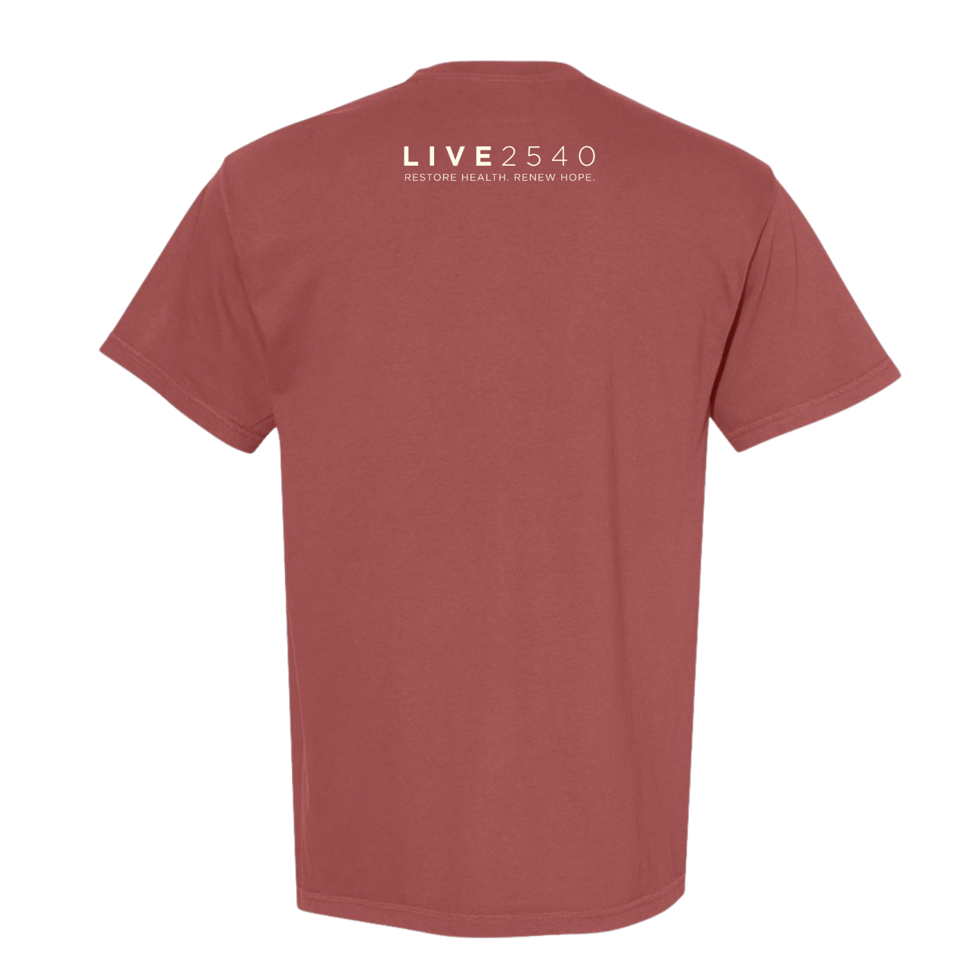 2026 Brick Comfort Colors Tee