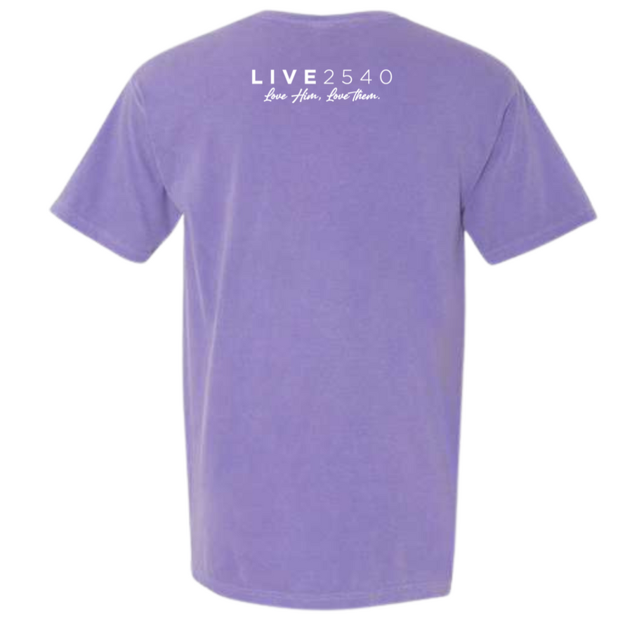 2025 Valentine's Collection Adult Comfort Color Short Sleeve Violet