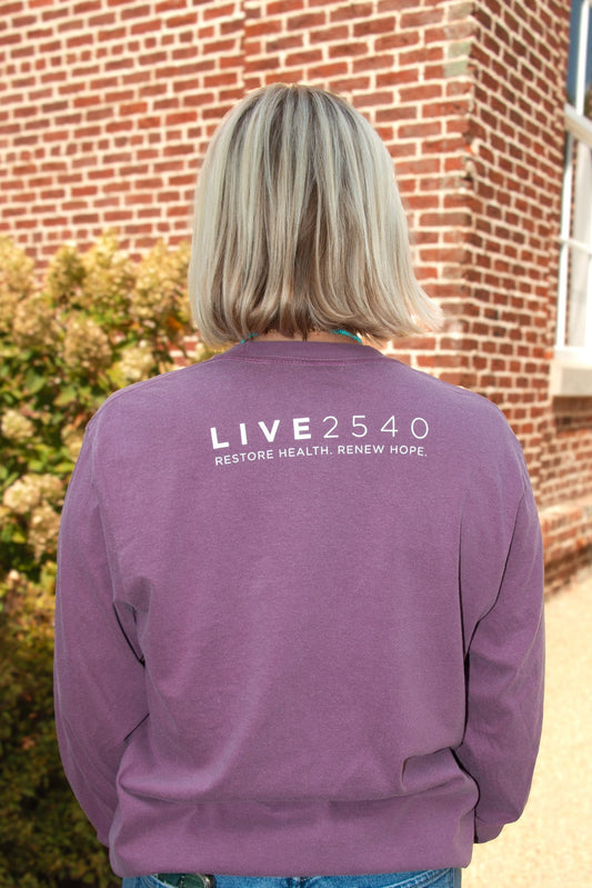 2026 Adult Comfort Colors Long Sleeve Berry Pocket Tee