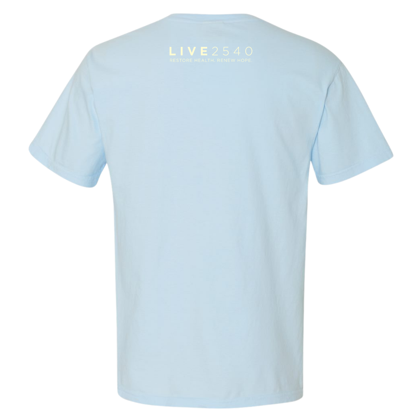 2026 Chambray Comfort Colors Tee