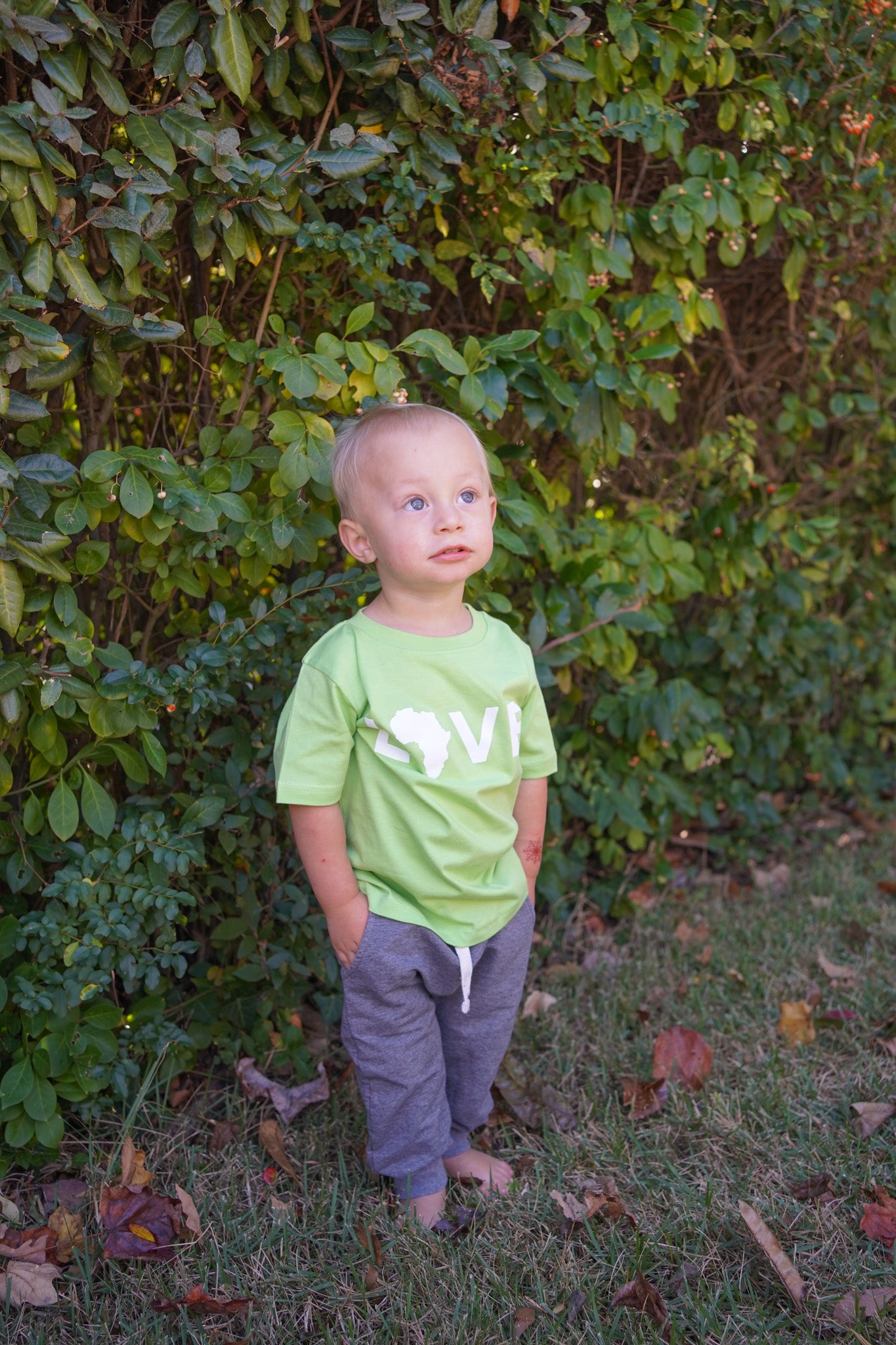 Toddler Tee Key Lime