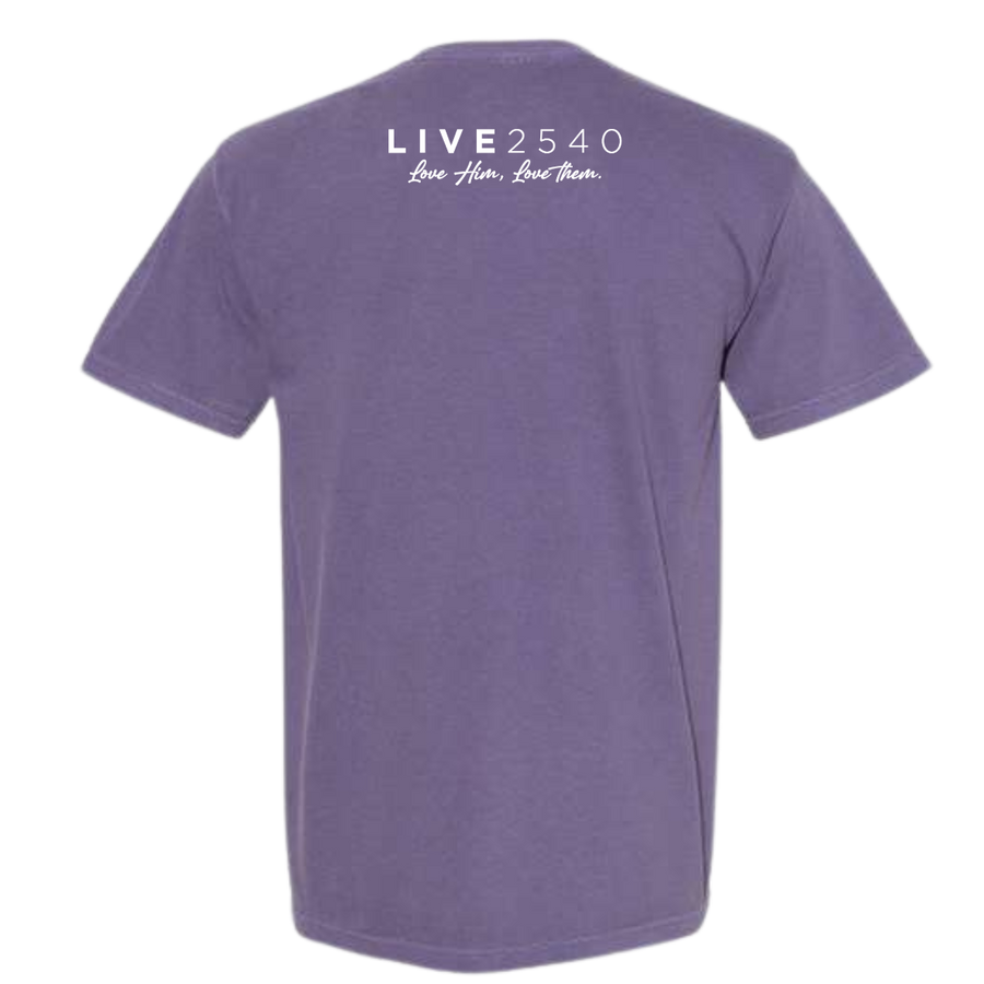 2025 Adult Comfort Colors Grape